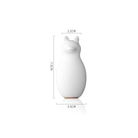 Stimulateur multifonction USB Renard 